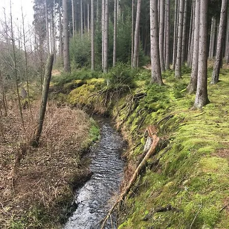 Nature Center Udoli Volavek Ii